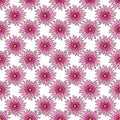 Vector white background pink daisy flowers and wild flowers. Seamless pattern background Royalty Free Stock Photo