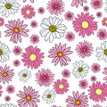 Vector white background pink daisy flowers and wild flowers. Seamless pattern background Royalty Free Stock Photo