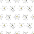 Vector white background white yellow lemony floral seamless pattern. Daisies, Lilies. Seamless pattern background