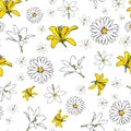 Vector white background white yellow lemony floral seamless pattern. Daisies, Lilies, Crocus. Seamless pattern