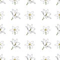 Vector white background white yellow lemony floral seamless pattern. Daisies, Lilies, Crocus. Seamless pattern