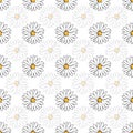 Vector white background white yellow lemony floral seamless pattern. Daisies, Seamless pattern background