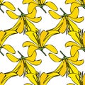 Vector white background yellow white floral birds seamless pattern. Lilies, birds. Seamless pattern background