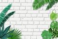 Vector white brick wall and green tropical palm leaves. Summer or spring trendy interior background with place for text.