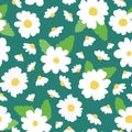 Vector White camomile and daisy wildflowers seamless pattern. Great for textiles, wallpaper, stationary, digital paper