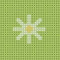 Vector white camomile on green field. Seamless pattern, canvas Royalty Free Stock Photo