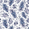 Vector white purple grapes seamless pattern print background. Royalty Free Stock Photo