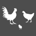 Vector White Silhouette Set of Poultry Birds. Rooster, Chick and Hen Royalty Free Stock Photo