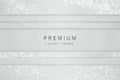 Vector white and silver abstract headline luxury frame. Sparkling sequins on light gray background. Horizontal line premium label