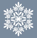 Vector white snowflake icon silhouette drawing