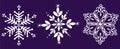 Vector white snowflakes collection or set