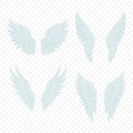 Vector White Wing Icon Set. Vintage Angel Wings, Icons, Design Template, Clipart Collection. Cupid, Bird Wings. Vector Royalty Free Stock Photo