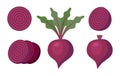 Vector whole beet and slices