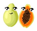 Vector whole and sliced papaya fruit isolated on white background. Fruit with eyes.