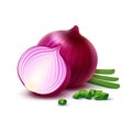 Vector Whole and Sliced Red Onion Bulbs with Chopped Green Onions Close up Isolated on White Background Royalty Free Stock Photo