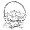 Vector wicker basket of outline Pomegranate fruit, ornate leaf and seed in black isolated on white background.