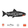 Vector wild atlantic salmon label Royalty Free Stock Photo