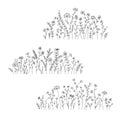 Vector wild herbs and flowers doodle illustration. Field with grass and wildflowers isolated on white
