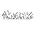 Vector wild herbs and flowers silhouette background. Field with grass and wildflowers isolated.