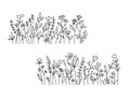 Vector wild herbs and flowers silhouette background. Field with grass and wildflowers isolated.
