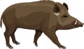 Vector wild hog boar mascot Royalty Free Stock Photo