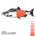 Vector wild pink salmon illustration Royalty Free Stock Photo