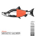 Vector wild sockeye salmon illustration Royalty Free Stock Photo