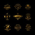 Vector wine logos and emblems isolated on black background Royalty Free Stock Photo