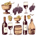 Vector winery design elements set icon eps10. Vector alcoholic beverage obtained by the complete or partial fermentation Royalty Free Stock Photo