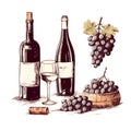 Vector winery design elements set icon eps10. Vector alcoholic beverage obtained by the complete or partial fermentation Royalty Free Stock Photo