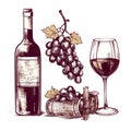 Vector winery design elements set icon eps10. Vector alcoholic beverage obtained by the complete or partial fermentation Royalty Free Stock Photo