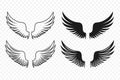 Vector Wing Icon Set. Vintage Angel Wings Silhouette, Icons, Logo Design Template, Clipart Collection. Cupid, Bird Wings Royalty Free Stock Photo