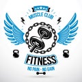 Vector winged graphic sign created with disc weight dumbbell and kettle bells sport equipment. Emblem for heavyweight gym or