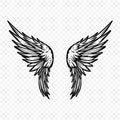 Vector Wings Icon. Vintage Angel Wings Icon, Design Template, Clipart. Cupid, Angel or Bird Wings. Vector illustration