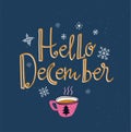 Vector winter card with cup of tea and lettering- `Hello December` isolated on the blue background with snowflakes. Royalty Free Stock Photo