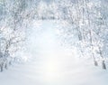 Vector winter snow landscape. Royalty Free Stock Photo