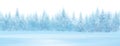 Vector winter snowy forest. Royalty Free Stock Photo