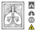 Net Lungs Fluorography Vector Mesh