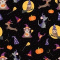 Vector Wizard Witch Friends Seamless Pattern Background