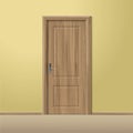 Vector Wood Closed Door with Frame Isolated