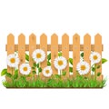 Vector Wooden Fence with Camomiles