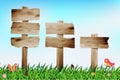 Vector wooden signboard with grass field