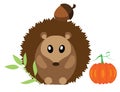 Vector Woodland Animal. Funny hedgehog.