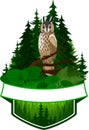 Vector woodland emblem with owl