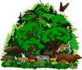 Vector woodland forest with animals illustration