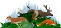 Vector woodland forest illustration with animals : puma, deer, eagle-owl , barn owl and red fox