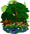 Vector woodland green forest and lake with animals: eagle, snake, fox, wild hog, grizzly bear, cougar puma, deers, barn owl, turtl