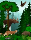 Vector woodland green forest trees backlit with animals Royalty Free Stock Photo