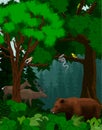 Vector woodland green forest trees backlit with bear, deers, snake and birds