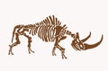 Vector vintage illustration of woolly rhino skeleton ,graphical fossils,paleonthology